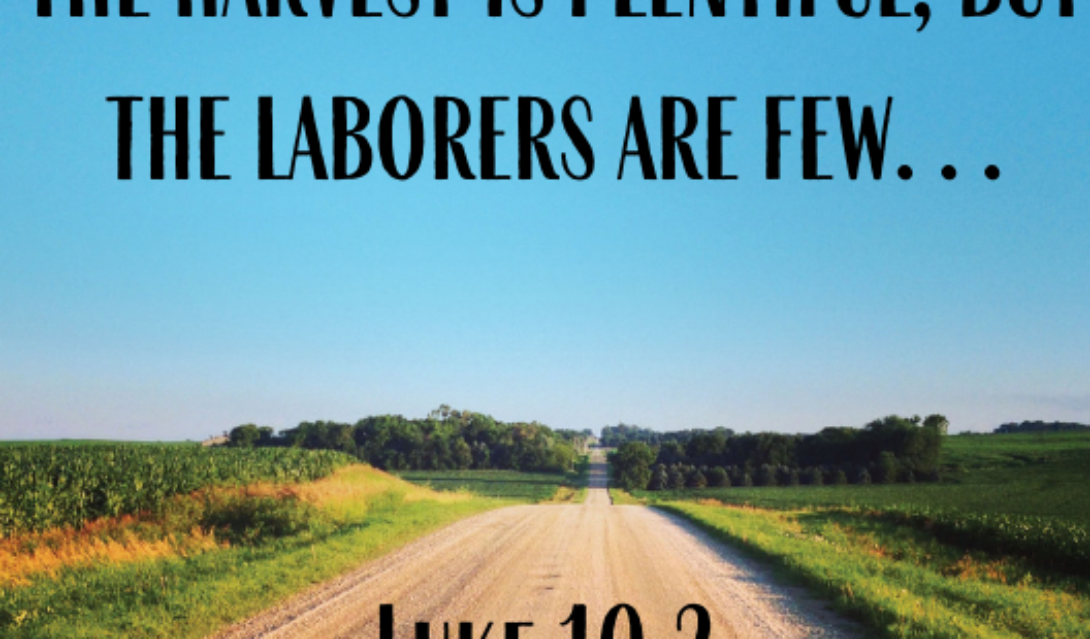 The harvest is plentiful, but the laborers are few... -Luke 10:2